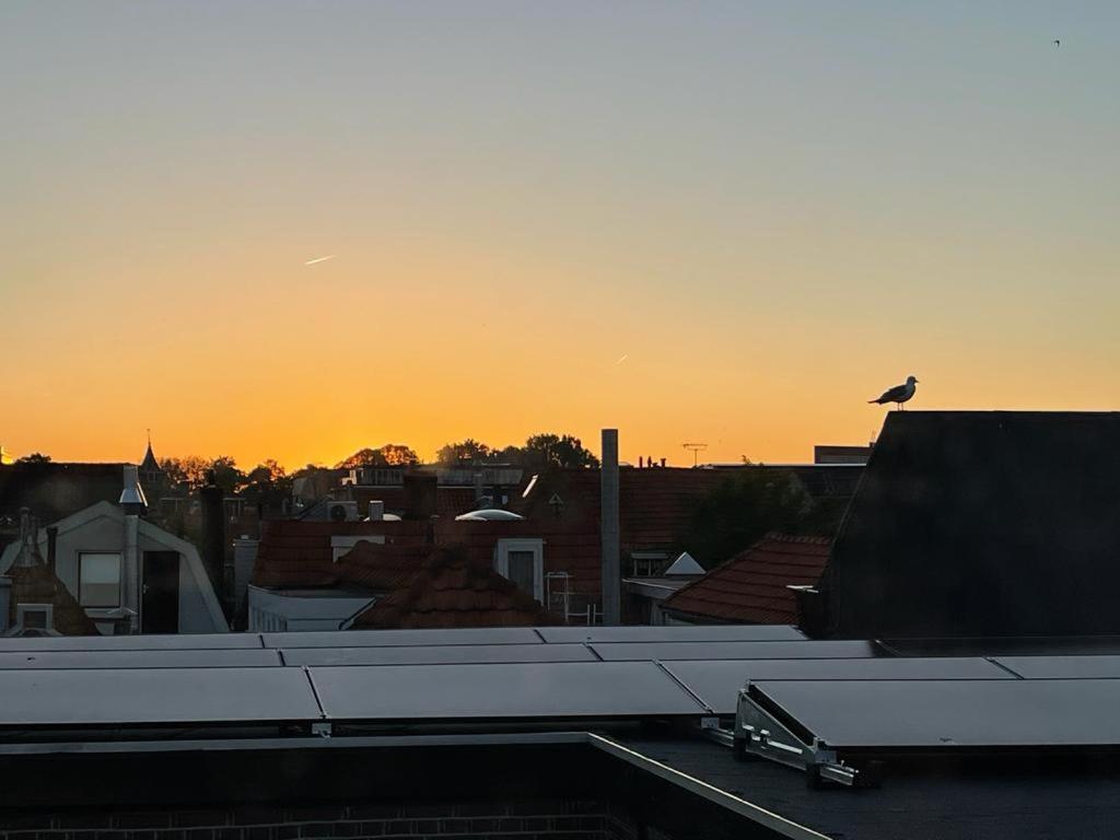 Mylos Studios Alkmaar Kültér fotó